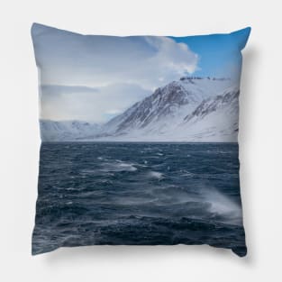 High Winds Pillow