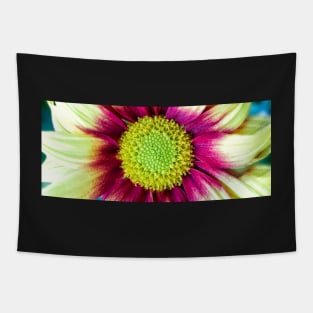 Chrysanthemum daisy flower Tapestry