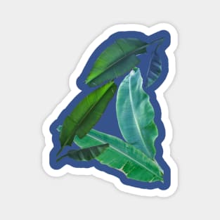 Banana Leaves Magnet