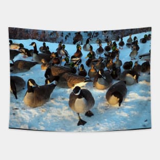 Mallard Duck and Canada Goose Flock In The Snow Tapestry