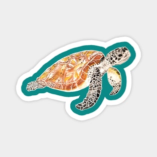 Sea Turtle Watercolor Magnet