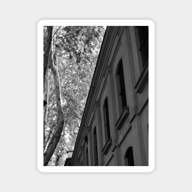 The Argyle Stores Argyle Stores TeePublic