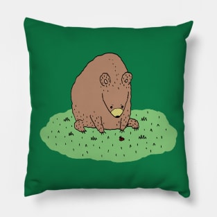 Bear & Ladybird Pillow