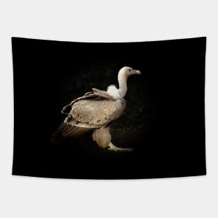 Vulture Tapestry