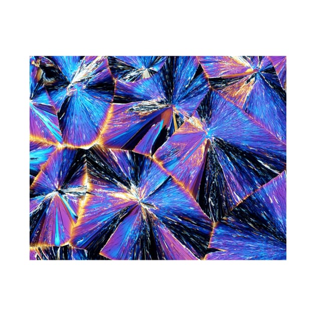 Tartaric acid crystals, light micrograph (C009/5982) by SciencePhoto