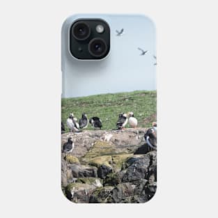 Puffins colony on the Farne islands, Northumberland, UK Phone Case