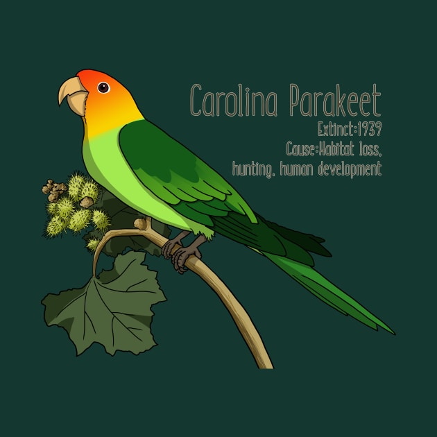 Extinct Species: Carolina Parakeet by Feathered Focus