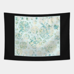 Marbled Paper Bubbles Tapestry