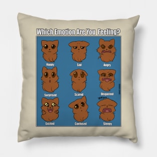 Emotions of A Cat Pillow