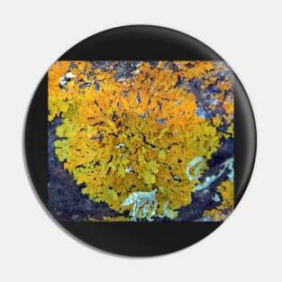 Orange Lichen Pin