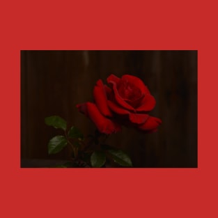 Red Rose T-Shirt