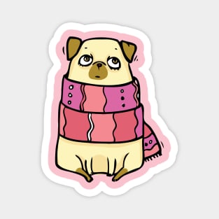 I love Pugs in scarf Magnet