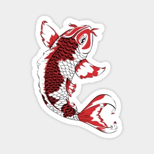 Koi Magnet