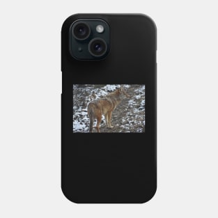 Coyote Phone Case