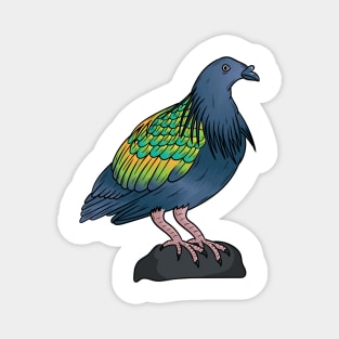 Nicobar pigeon bird cartoon illustration Magnet