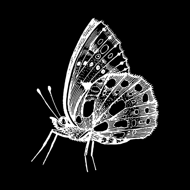 Dramabite Vintage butterfly illustration by dramabite