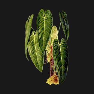 Philodendron Melanochrysum - Revue horticole T-Shirt