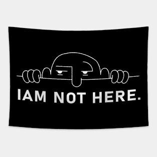 I'm not here. Tapestry