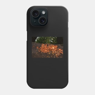 Wild Forest Mushrooms Phone Case