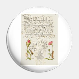 Antique 16th Century Calligraphy with Rose, Daisy, and Wasp Pin