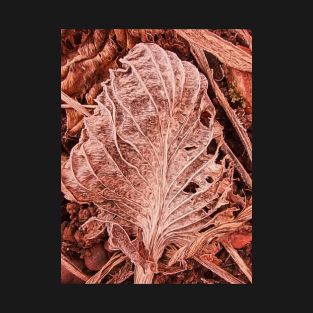 Winter Leaf by stuartchard