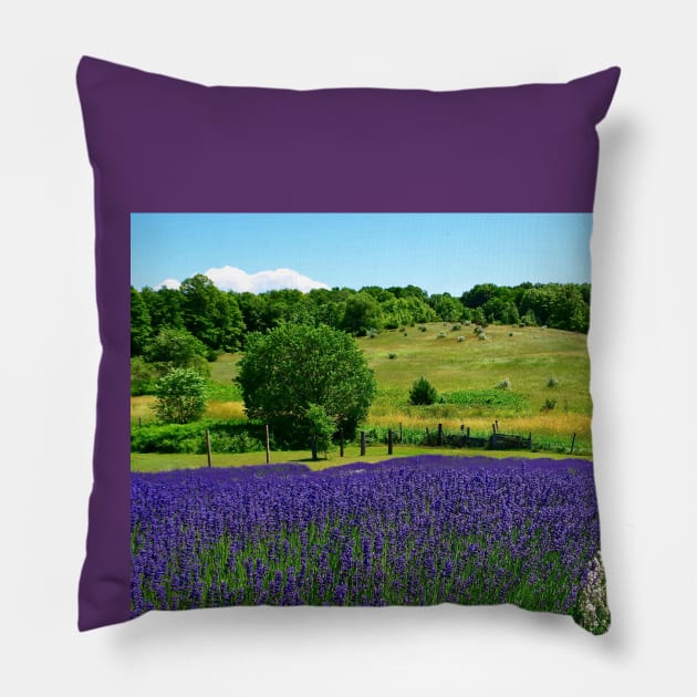 Hilly Lavender Countryside Pillow by Colette22