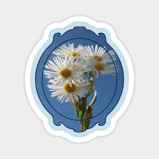 white flowers Magnet