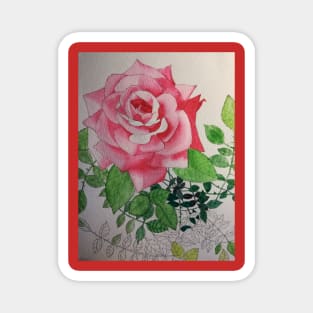 Pink rose watercolor painting Magnet
