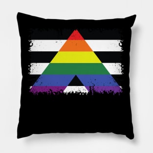 LGBT and Heterosexual flag Pillow