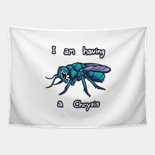 Wasp Having a Chrysis Tapestry