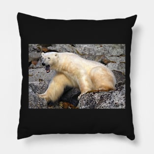 Polar bear in a Spitzberg fjord Pillow