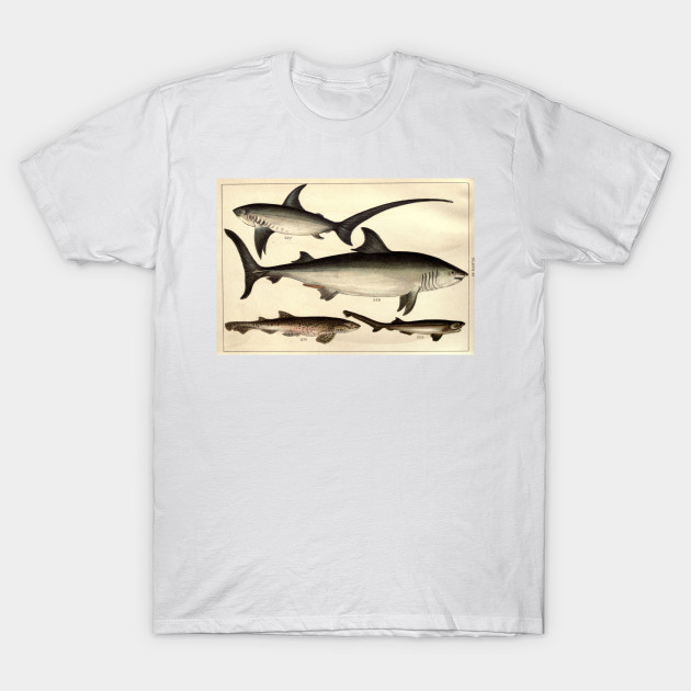 vintage shark shirt