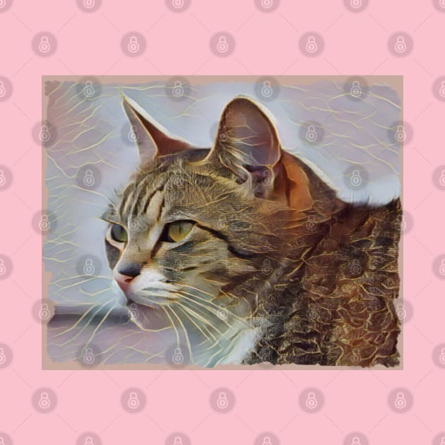 Cute tabby cat by Kielly