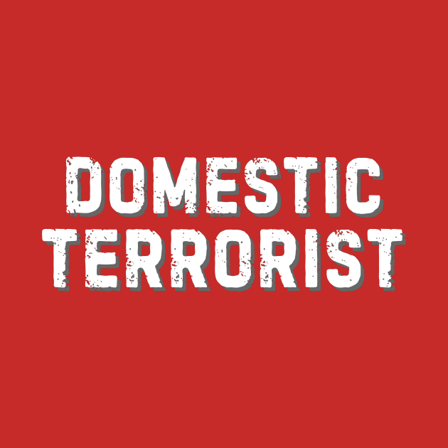 Domestic Terrorist by Ivanapcm