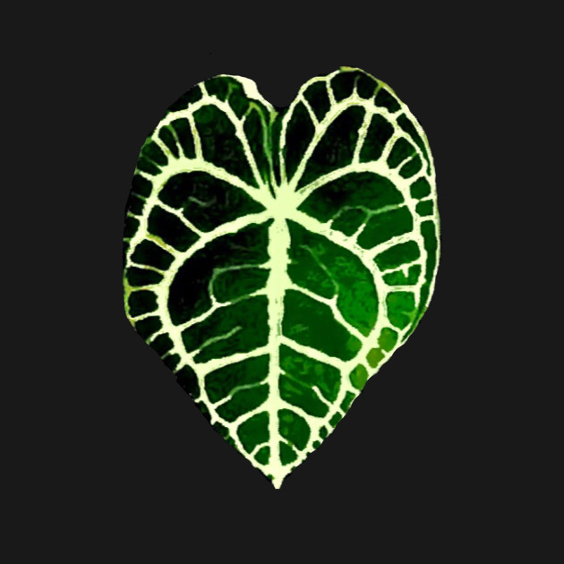 Urban Soule Anthurium Leaf Logo - Plant - T-Shirt | TeePublic