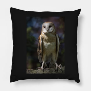 Barn Owl Pillow