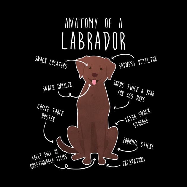 Chocolate Labrador Retriever Dog Anatomy by Psitta