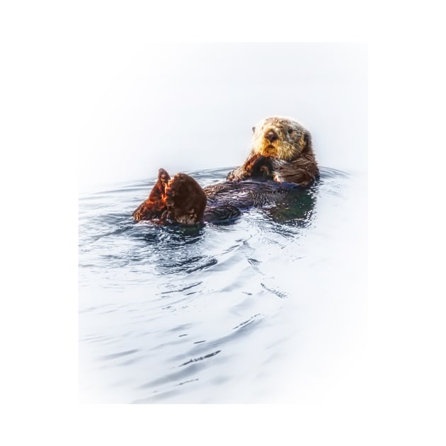 Sea Otter by SandroAbate