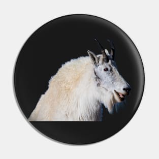 Laughing Goat Pin