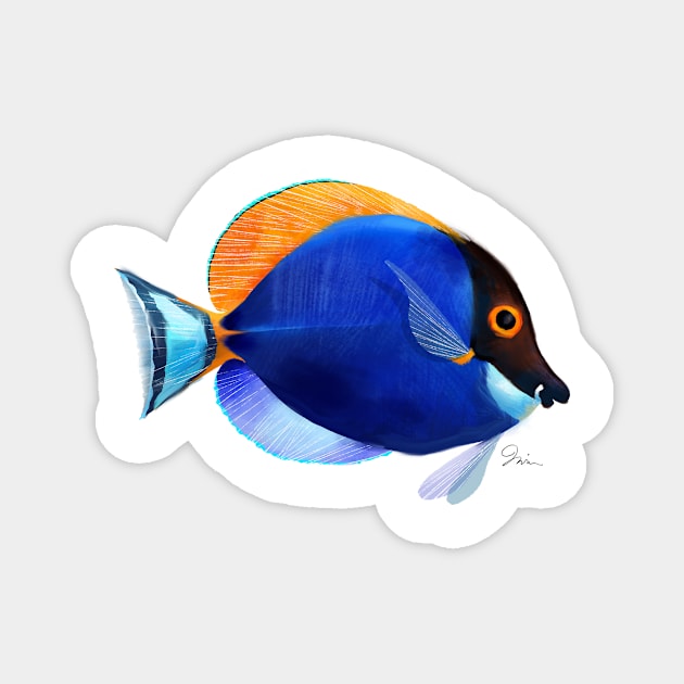 Powdered Blue Tang Magnet by TrevorIrvin