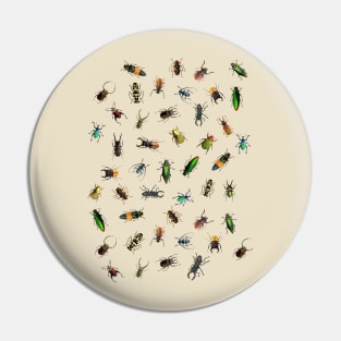 Beautiful Different Real crawling BUGS Pattern Pin