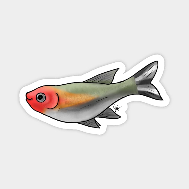 Fish - Tetras - Firehead Tetra Magnet by Jen's Dogs Custom Gifts and Designs