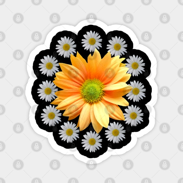 daisy flower daisies bloom floral blooming florets Magnet by rh_naturestyles