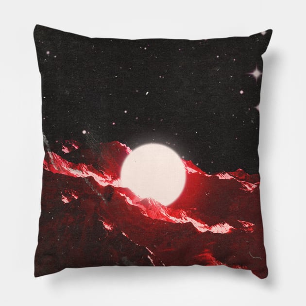 Rebirth Pillow by linearcollages