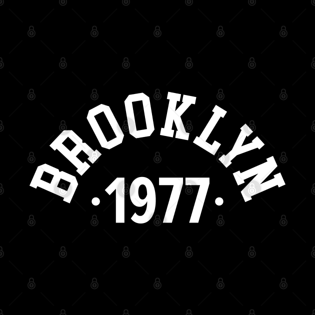 Brooklyn Chronicles: Celebrating Your Birth Year 1977 by Boogosh