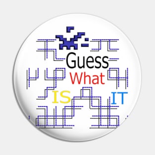 Guess What Maze Pin