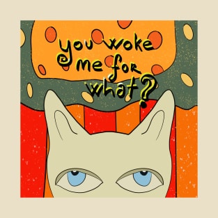 you woke me for what? T-Shirt