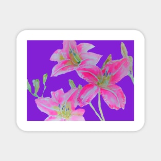 Pink Lily Flowers floral Watercolor Painting Purple Magnet