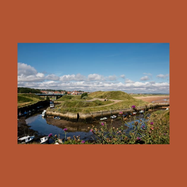 Seaton Sluice harbour. by Violaman