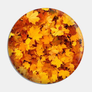 Yellow maple leaves in autumn / fall pattern Pin